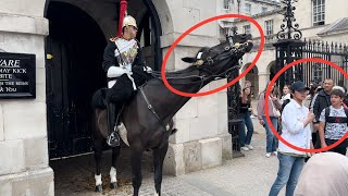 Meet Ormonde The King’s Guard Horse That Keeps Tourists at a Distance 🐴🚫 [upl. by Akinohs]