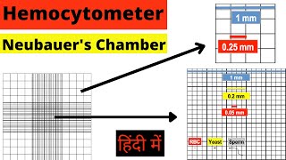 Hemocytometer  Neubauer chamber  RBC count  WBC count  Cell Count  Calculation  Hindi mlt [upl. by Notsuoh]