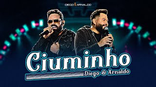 Diego e Arnaldo  Ciuminho Videoclipe Oficial [upl. by Hujsak]