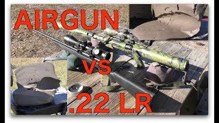 22LR vs Air Rifle in Ballistics Clay [upl. by Yllime]