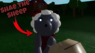 NEW SHAE THE SHEEP JUMPSCARE  Roblox Rash Raid Beta [upl. by Myrtia]