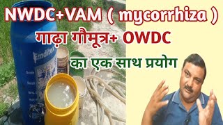 OWDCNWDCVAM और गाढ़े गौमूत्र सभी का एक साथ प्रयोग owdc nwdc vammycorrhiza [upl. by Asillam960]