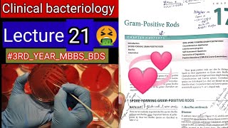 Special Bacteriology lectures8 Gram positive RODS Bacillus clostridum cornybacterium listeria [upl. by Byrd]