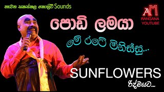 PODI LAMAYA ME RATE MINISSU WITH SUNFLOWER LIVE SHOW පොඩි ලමයා සමග පැරණි සන්ෆ්ලවර් Recreated sounds [upl. by Cory944]