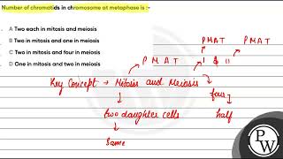 176 Number of chromatids in chromosome at metaphase is  1 Two each in mitosis and meiosis [upl. by Magnus]