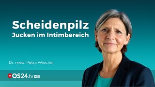 Hilfe Scheidenpilz Candida Vaginalpilz  Jucken im Intimbereich  Dr med Petra Wiechel  QS24 [upl. by Vrablik]