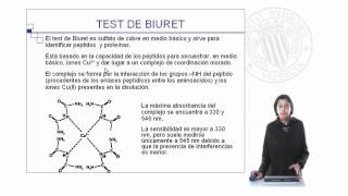 Aminoácidos y proteínas identificación cualitativa   UPV [upl. by Nnewg531]