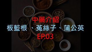 單方中藥介紹EP03 板藍根 菟絲子 蒲公英 [upl. by Egoreg]