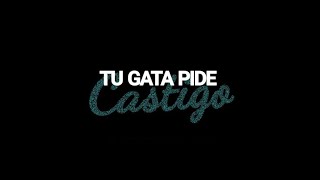 Thomy DJ  Tu gata pide cast1go [upl. by Eidorb]