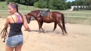 How to use Side Reins while lunging [upl. by Nit]