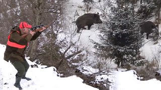 Hunting Serbia  Wild boar hunting  Lov divlje svinje  planina Goč Kraljevo  Caccia ai cinghiali [upl. by Lebasile428]