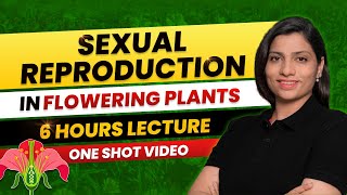 Sexual Reproduction in Flowering Plants Class 12 One Shot All Theory amp PYQs NEET 2024 Ritu Rattewal [upl. by Naoj]