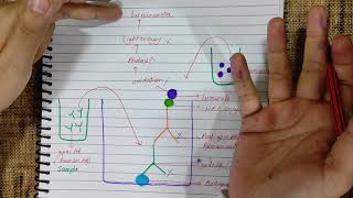 Chemiluminescence Assay  CLIA  Principle diagram  Medicology [upl. by Berenice]