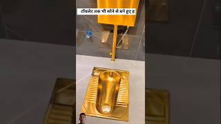 Dubai King toilet 😱shortvideo facts youtubeshorts [upl. by Etteraj129]