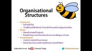 Bee Business Bee Organisational Structures Presentation [upl. by Tomaso]