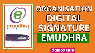 Create Organisation Digital Signature in Emudhra Paperless Verification  Hindi [upl. by Assilym56]