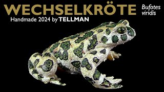 Wechselkröte Bufotes viridis realistisches 2024 handmade Modell von TellMan  Unboxing [upl. by Adnilev217]