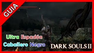 Ultra Espadon del Caballero Negro de Dark Souls 2 [upl. by Salinas]