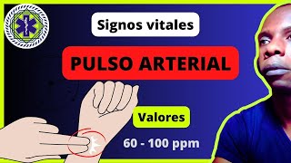 ✔ Signos vitales Pulso Arterial Frecuencia y valores normales alteraciones [upl. by Lillywhite913]