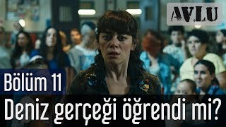 Avlu 11 Bölüm Sezon Finali  Deniz Gerçeği Öğrendi mi [upl. by Carmelle]