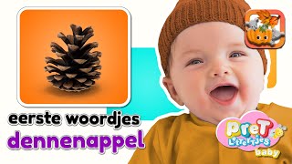 Baby Eerste Woordjes • DENNENAPPEL • Baby tv Nederlandse Baby filmpjes • Eerste Woordjes Leren [upl. by Southworth68]