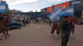 EXPO RURAL DE PALERMO CIPAYOS ARGENTINOS [upl. by Ettezzil]