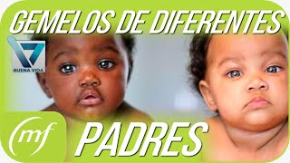 Superfecundación heteropaternal  Gemelos de diferentes padres [upl. by Courcy482]