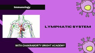 Lymphatic System [upl. by Dominique]