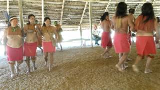 Danza Comunidad Yagua  Amazonas Colombiano [upl. by Tnirb]