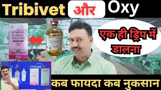 Tribivet और Oxy एक ही ड्रिप में कब करते है नुकसान Tribivet with oxytetracycline Injection veterinary [upl. by Odnumyer]