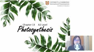 Chap 13 Part 1 Chloroplast Pigments  Cambridge ALevel 9700 Biology [upl. by Lah18]