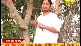 पेट रोग में अमलतास का प्रयोग I ACHARYA BALKRISHNA I WORLD AYURVEDA GURU [upl. by Muraida]