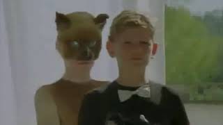 Les duo des chats  Lor des anges documentaire 1998 [upl. by Elag]