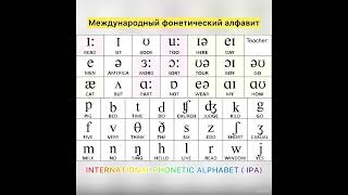 Что такое ТРАНСКРИПЦИЯ в английском языке 2 часть практика выучим все звуки за 5 минут [upl. by Nalced]