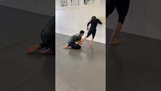 Ankle Pick for Jiu Jitsu [upl. by Annaitat]