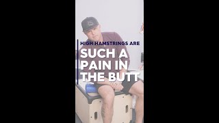 High Hamstrings Are Such a Pain in the Butt [upl. by Nytsua]