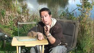 The Zig carp fishing rig explained in detail [upl. by Nnylrac]