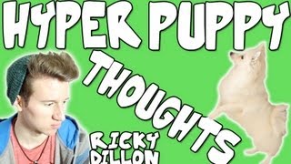 HYPER PUPPY THOUGHTS  RICKY DILLON [upl. by Bithia758]