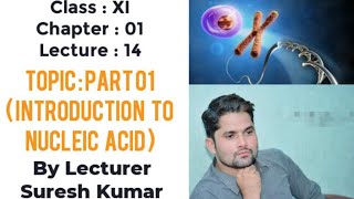 Nucleic acid class 11nucleic acid biochemistrySTB NCERT PTB FTBHindiUrdu By SirSuresh Kumar [upl. by Ahsas]