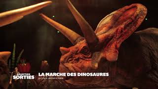 La Marche des Dinosaures à Paris Bercy  Le Spectacle Live  Trailer 2012 [upl. by Delinda]