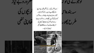 Qaisar and his little wife💔 Jugnu by Husny Kanwal romantic Urdu novel lovestory trending viral [upl. by Ume]