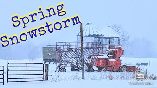 Snowstorm On The Dairy Farm [upl. by Abrahan]