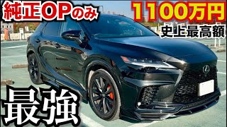 純正オプションのみで1100万円史上最高額のレクサスRX500h Fスポーツパフォーマンスがやばすぎる。LEXUS RX500h F Sports performance [upl. by Nayrbo59]