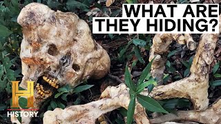 The Proof Is Out There Top 4 CREEPIEST Creature Hoaxes [upl. by Onimod330]