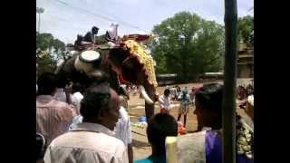 Thrissur pooram 2012 elephant attackmp4 [upl. by Boccaj]