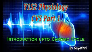 Y1S2 Physiology  CVS Part 1  Introduction to CVS up to Cardiac Cycle [upl. by Yrallam]