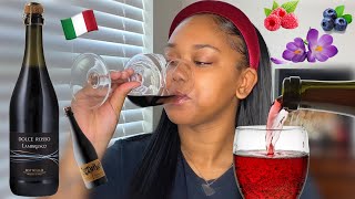 Wines You Should Be Drinking Lambrusco 🍇 BEGINNER FRIENDLY [upl. by Budde]