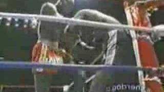 Best of ernesto hoost [upl. by Hurff]