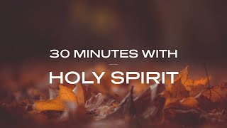 30 Minutes With Holy Spirit Deep Prayer amp Prophetic Worship Music [upl. by Ardnac781]