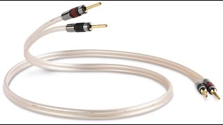 QED XT40 Speaker Cable [upl. by Inohs129]